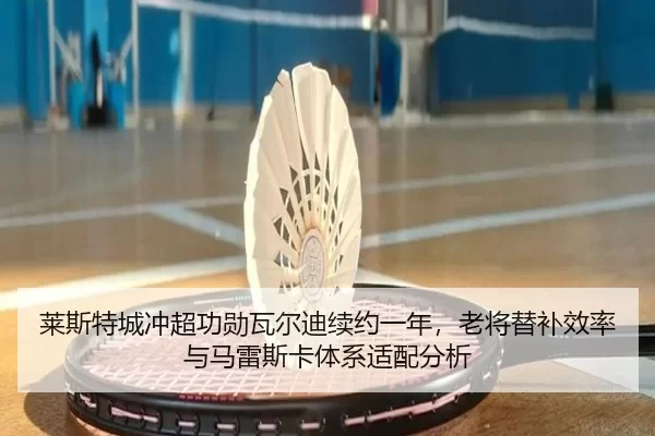 莱斯特城冲超功勋瓦尔迪续约一年，老将替补效率与马雷斯卡体系适配分析