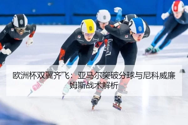 ou-zhou-bei-shuang-yi-qi-fei-ya-ma-er-tu-po-fen-qiu-yu-ni-ke-wei-lian-mu-si-zhan-shu-jie-xi-2-633.jpg